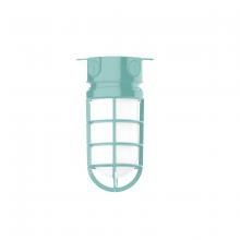 Montclair Light Works FMC050-48 - 5 1/2" Vaportite flush mount ceiling light, Sea Green