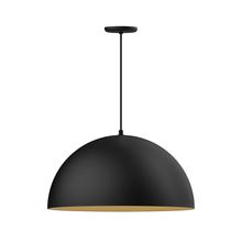 Montclair Light Works PEB229-41-75-L14 - 24" XL Choices Shallow Dome Shade, medium base, black cord w/ canopy, Black w/ Gold Matte Interi
