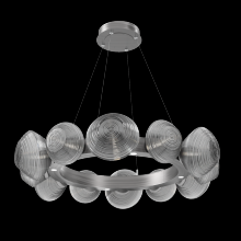 Hammerton CHB0089-36-SN-S-CA1-L3 - Mesa Radial Ring - 36-Inch