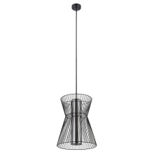Eglo 205841A - 1 LT Pendant w/ Black Finish & Metal Cage Frame Surrounding Transparent Smoked Glass