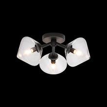 Matteo Lighting X81743BKCL - Novo Black Ceiling Mount