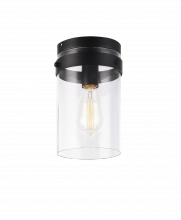 Matteo Lighting X78401BK - Zale Black Ceiling Mount