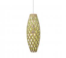 DAVID TRUBRIDGE HIN-0500-NAT-LIM - HINAKI 500